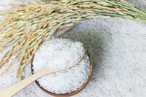 تصویر 3 از قیمت برنج عنبر بو محلیویی + خرید باور نکردنی